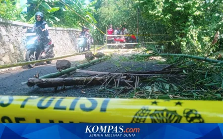 Banjir dan Longsor Cianjur Terjang 4 Kecamatan, Pagar Istana Cipanas Jebol