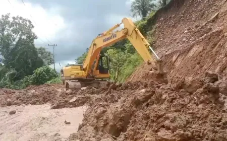 Pemprov Sumbar Kerahkan Ekskavator Atasi Longsor di Jalan Palembayan