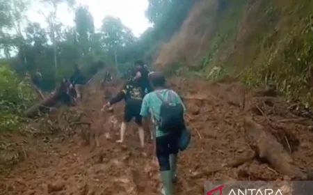 Desa Koto Rawang di Jambi Terisolasi Akibat Longsor, Akses Jalan Lumpuh Total