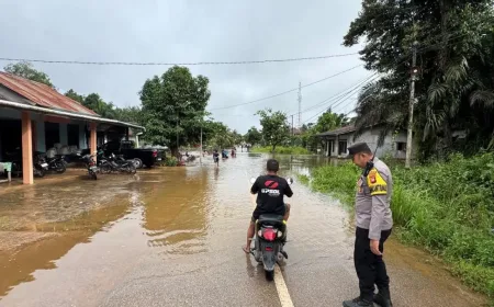 Hujan Deras Landa Sanggau, Banjir Rendam Permukiman di Toba