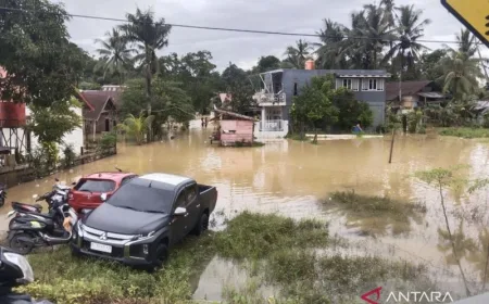 2.985 Warga Terdampak Banjir di Kendari
