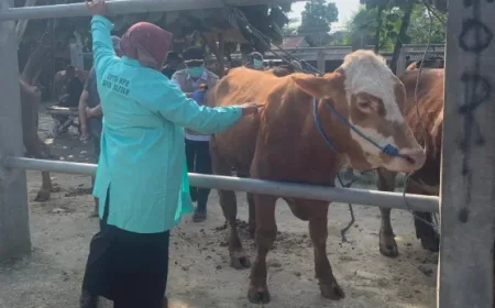 Cegah Penularan Penyakit, Panitia Kurban Diimbau Jaga Kebersihan