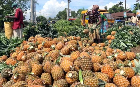 Banyak Dijual di Jalan, Buah Ini Ternyata Penangkal Asam Urat