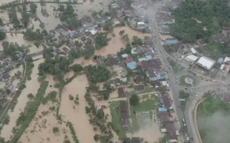 Sebanyak 8.616 jiwa dan 2.326 rumah terdampak bencana banjir di Sultra