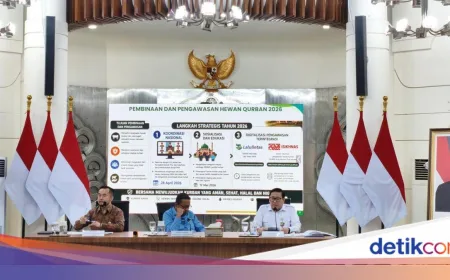 Kemenkes Minta Warga Waspada Penyakit Menular Anthrax dari Hewan Kurban