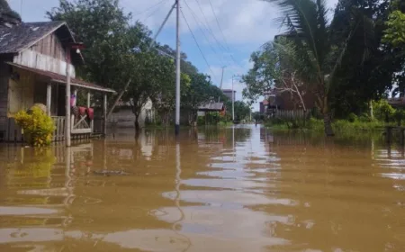 Luapan Sungai Tualan sebabkan banjir dan longsor di wilayah utara Kotim