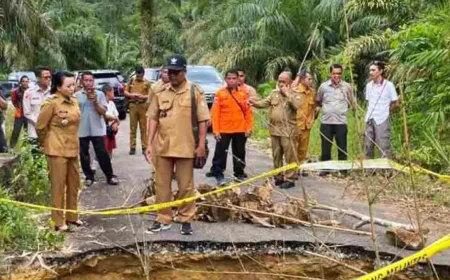 Bupati Landak Karolin Prioritaskan Perbaikan Jalan Amblas Akibat Banjir di Jelimpo