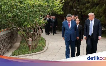 Trump Kaget Saat Xi Jinping Ajak Lihat Pohon Berusia 1.000 Tahun di Zhongnanhai