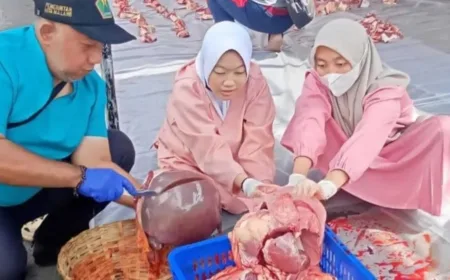 Pemeriksaan Ketat Hewan Kurban Malang 2026: Pastikan Daging Aman dan Sehat