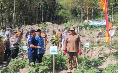Ribuan Pohon Ditanam di Lereng Jono, Upaya Mitigasi Longsor Gunungkidul