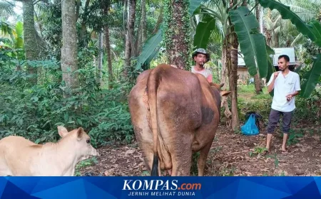 Bantuan Daging Meugang dari Presiden Dinanti Penyintas Banjir Aceh untuk Ringankan Beban