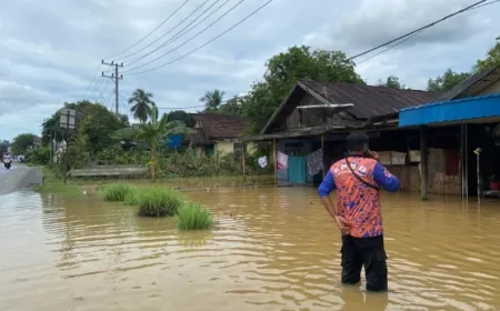 Curah Hujan Tinggi Picu Banjir di Tiga Kecamatan Hulu Sungai Tengah