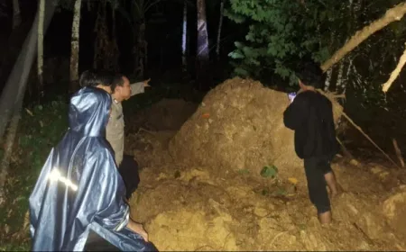 Longsor di Kabupaten Tapsel: Ibu dan Anak Dilaporkan Hilang Tertimbun Material Tanah
