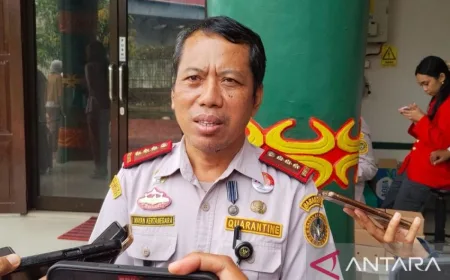 Karantina Papua Barat Daya Tegaskan Produk Tanpa Dokumen Berisiko Sebarkan Penyakit
