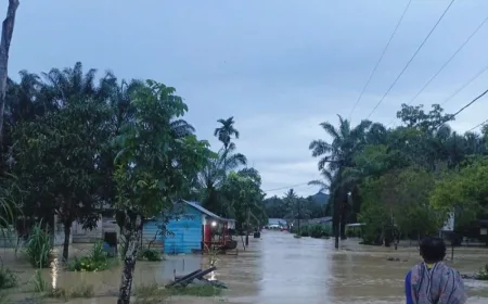 Banjir Kembali Rendam Desa Bandar Tarutung Tapsel, Ratusan Warga Terpaksa Mengungsi