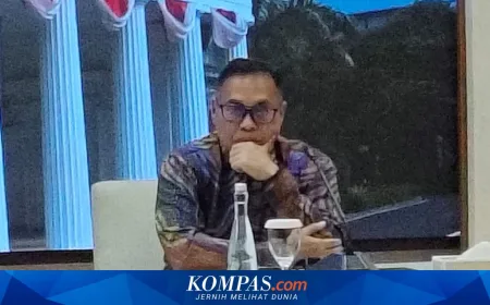 Guru Besar UI Tegaskan Tindakan Israel Tangkap WNI Melanggar Hukum Internasional