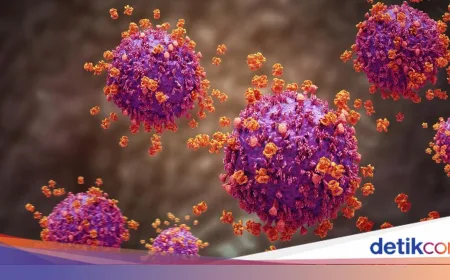 Ebola Kini Setara COVID-19 Awal Pandemi, Ini Langkah Antisipasi Kemenkes RI