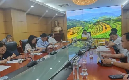 Wakil Menteri Pertanian dan Pembangunan Pedesaan: Mempercepat prosedur impor vaksin darurat untuk mencegah dan mengendalikan penyakit mulut dan kuku (SAT 1).