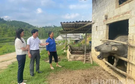 Pencegahan jarak jauh penyakit mulut dan kuku