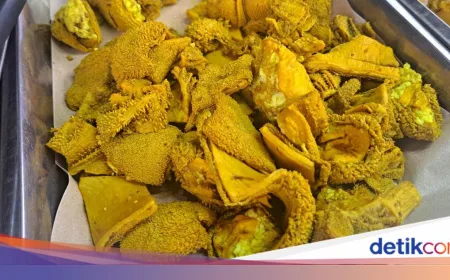 Ingin Menikmati Jeroan, Tapi Takut Asam Urat? Ini Saran Dokter Penyakit Dalam