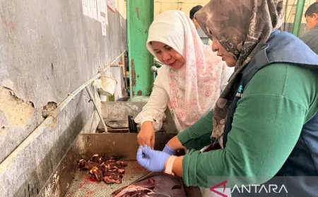 DKP3 Kota Cirebon pastikan hewan kurban bebas penyakit berbahaya
