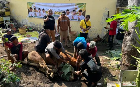 Partai Golkar Kota Pasuruan Kurban 4 Ekor Sapi