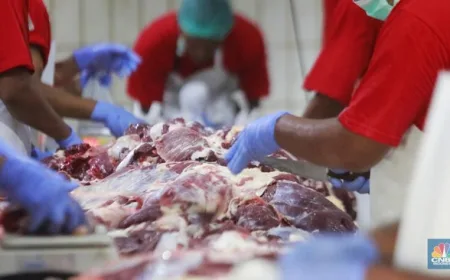Cara Ampuh Simpan Daging Kurban Awet Berbulan-bulan, Ini Tipsnya