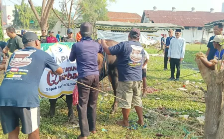 Misi Sosial, PT DLU Bagikan 6.000 Paket Daging Sapi Kurban ke Masyarakat