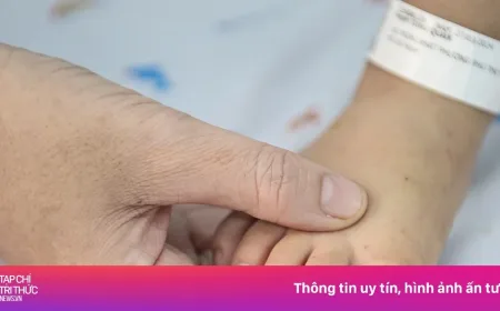 Situasi epidemi di Kota Ho Chi Minh membaik.