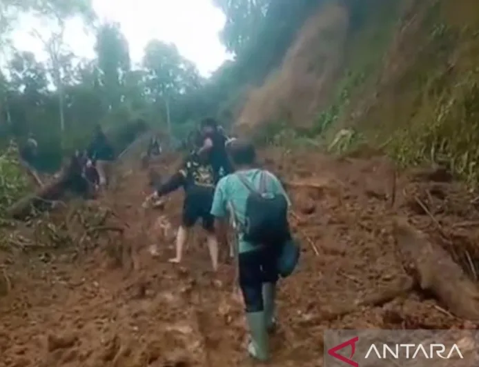 Desa Koto Rawang di Jambi Terisolasi Akibat Longsor, Akses Jalan Lumpuh Total