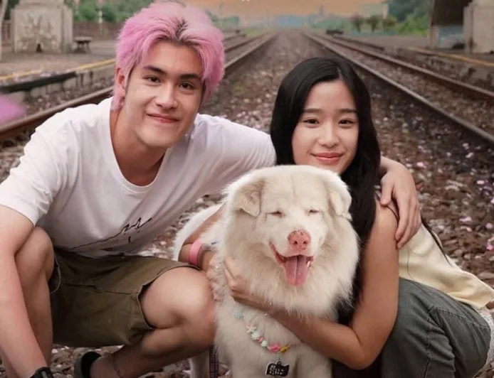 Film Gohan: Kisah Persahabatan Anjing dan Manusia yang Mengharukan Tayang 14 Mei