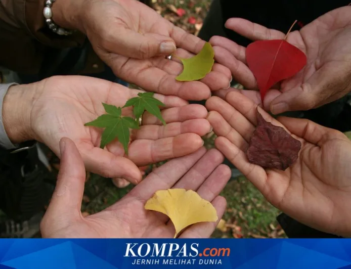 Toleransi adalah Kata Kerja dalam Praktik Sosial