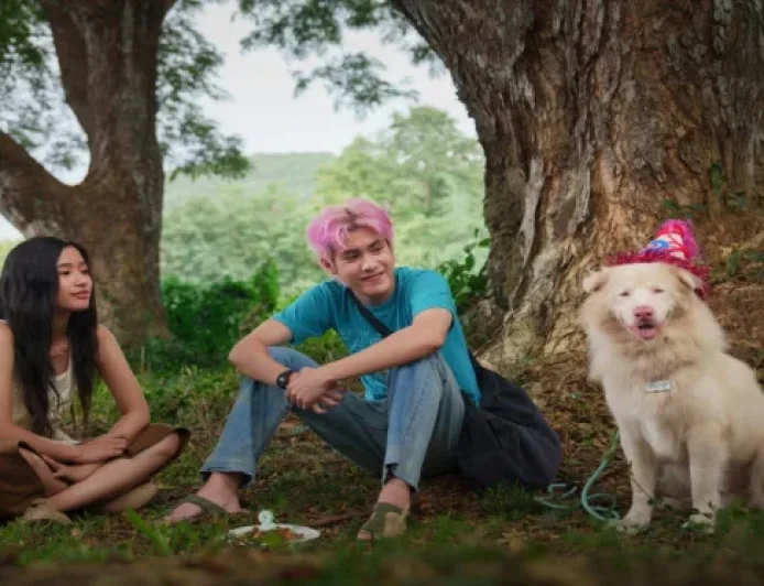 Sinopsis Film Gohan: Kisah Anjing Liar yang Menginspirasi Banyak Orang