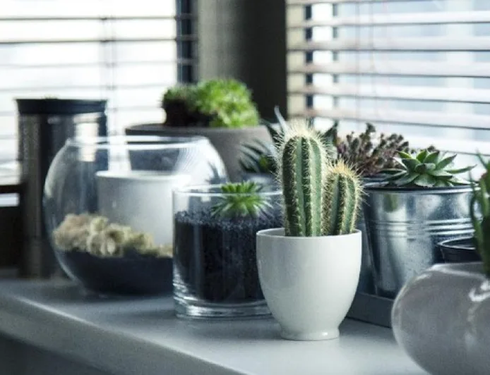 9 Benda Pembawa Sial yang Sebaiknya Tidak Disimpan di Rumah Menurut Feng Shui