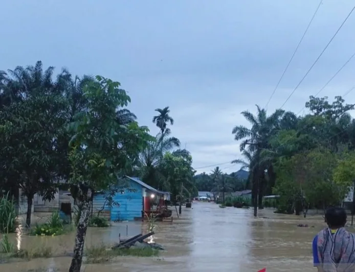 Banjir Kembali Rendam Desa Bandar Tarutung Tapsel, Ratusan Warga Terpaksa Mengungsi