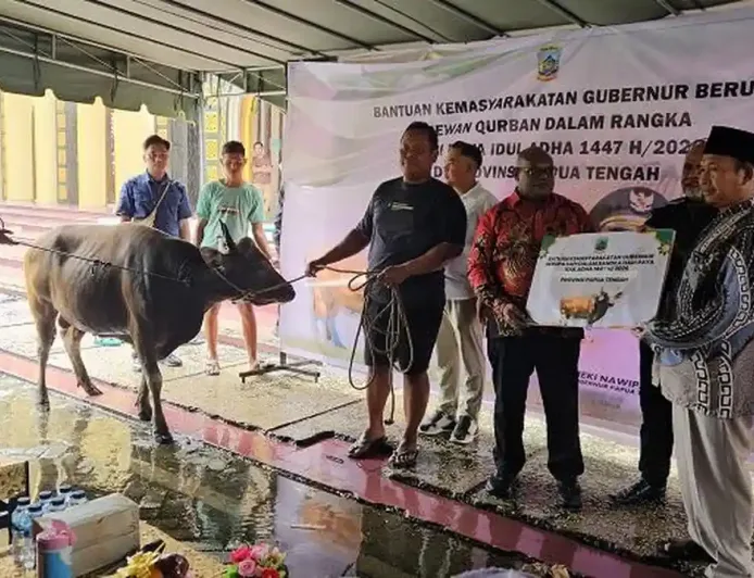 Meki Nawipa Serahkan Puluhan Ekor Sapi Kurban, Perkuat Solidaritas Sosial di Provinsi Papua Tengah