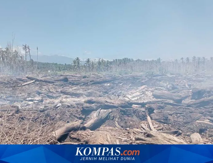 Kebakaran Kayu Sisa Banjir di Aceh Utara Meluas ke Tiga Desa, Warga Kian Cemas