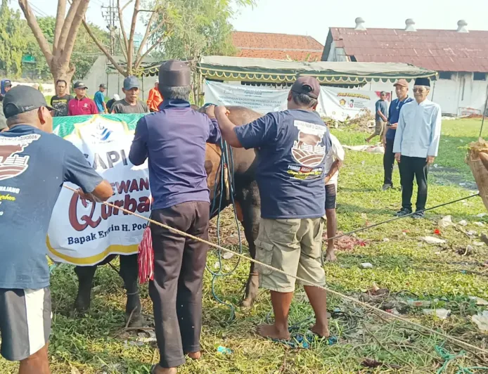 Misi Sosial, PT DLU Bagikan 6.000 Paket Daging Sapi Kurban ke Masyarakat