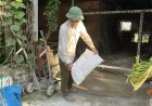 Quang Ngai memperkuat langkah-langkah biosekuriti dalam peternakan untuk mencegah demam babi Afrika.
