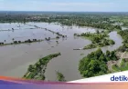 Banjir Rendam 7 Kecamatan di Lutra: 12 Ribu Warga Terdampak-Ratusan Mengungsi