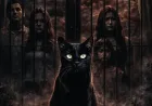 Sinopsis Kucing Hitam, Film Horor yang Mengangkat Mitos Kucing Hitam dan Teror Gaib