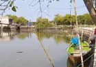 Banjir Rob di Sedati Sidoarjo Akibat Mangrove Rusak, Dinas Perikanan Dorong Rehabilitasi