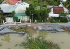 Dong Thap menerapkan solusi lunak dan "ramah lingkungan" untuk menanggapi tanah longsor.