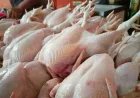Prabowo Soroti Porsi Ayam MBG, Ini Bedanya Potongan 8, 12 & 14 Bagian