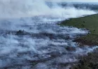 BNPB: Karhutla hingga Banjir Landa Sejumlah Wilayah Indonesia