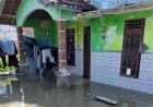 Banjir rob terjang tiga desa di pesisir Rembang