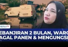 Banjir 2 Bulan di Luwu Utara Rendam 300 Rumah & 50 Hektare Lahan Pertanian