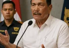 Luhut Beri Sinyal Kuat: Fungsi Bea Cukai Akan Diambil Alih DSI