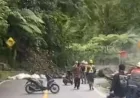 Longsor Lembah Anai Putus Total Akses Padang–Padang Panjang, Jalur Sumbar Lumpuh