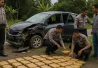 Pengiriman 112 Kg Ganja ke Medan Terungkap Usai Kecelakaan di Tapanuli